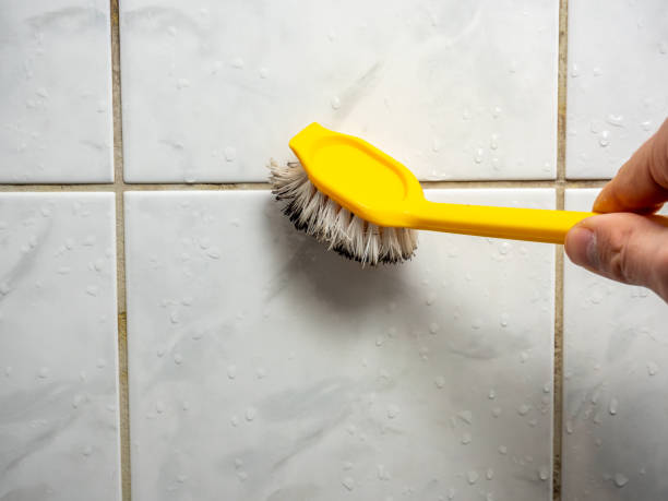 Best Emergency Mold Removal  in Point Venture, TX