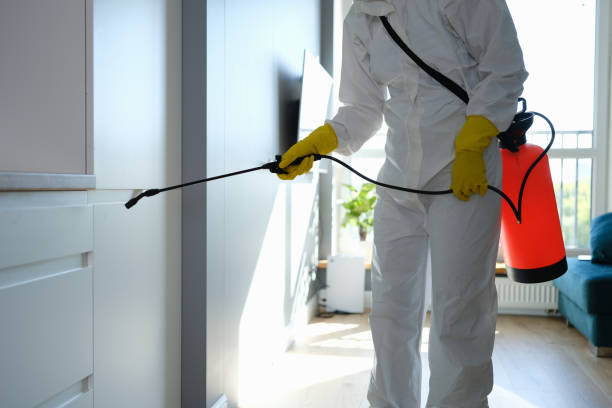 Mold Testing and Removal in Point Venture, TX