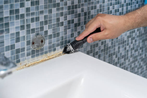 Best Toxic Mold Removal  in Point Venture, TX